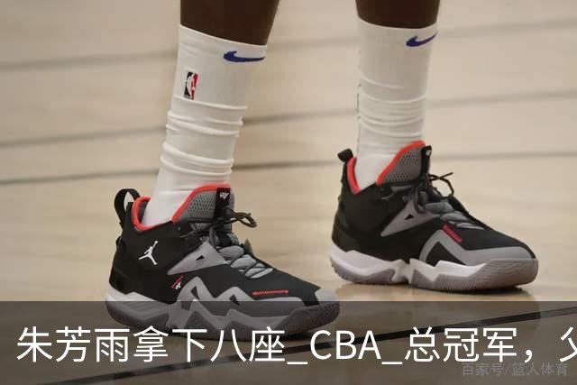 朱芳雨拿下八座 CBA 总冠军，父亲身高1米93，先天条件占据多少份量